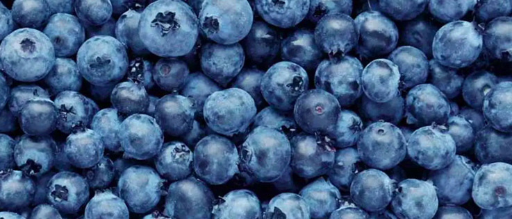 blueberries are what to eat if you are borderline diabetic