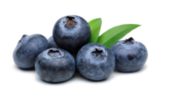 blueberries are among the best berries for diabetics