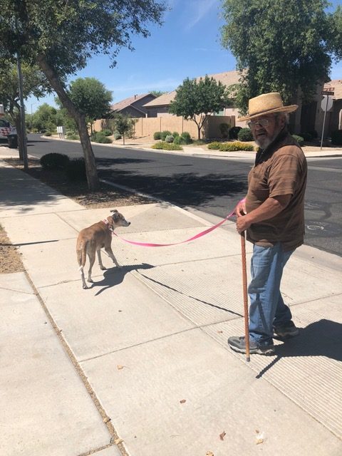 An elderly man walking a dog. The differences pets for elderly people can make are amazing