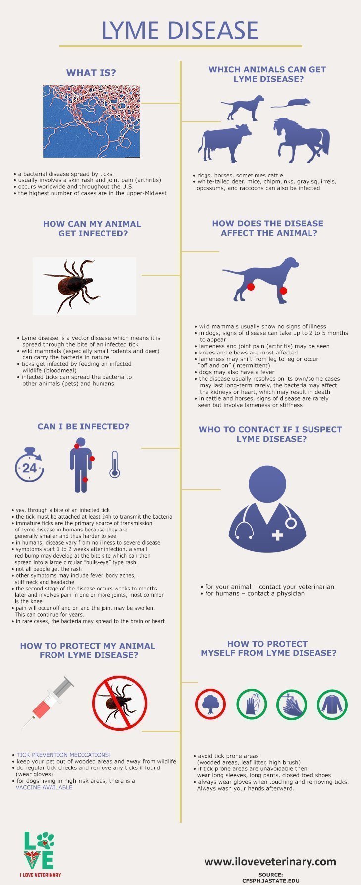 How to recognize and prevent Lyme Disease in your pet