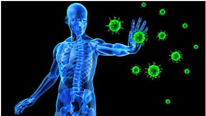A transparent man holding off viruses to show how does sugar affect your immune system
