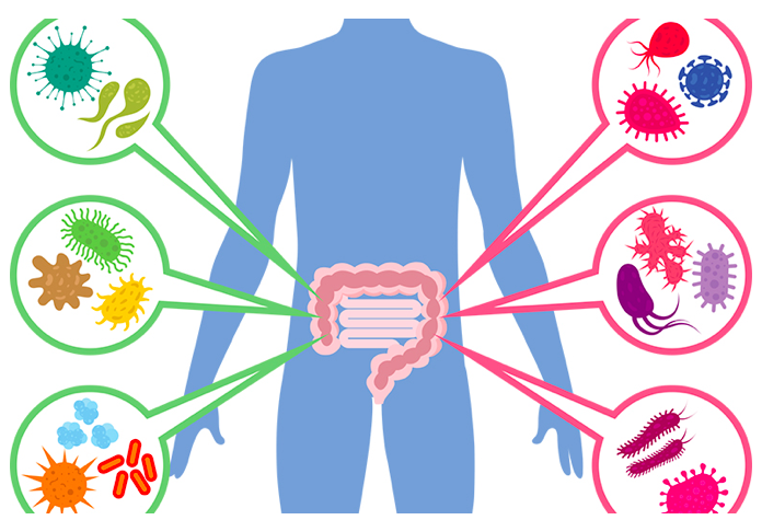 A picture of pathogens in your gut. Gut health and immune system benefits by killing these pathogens